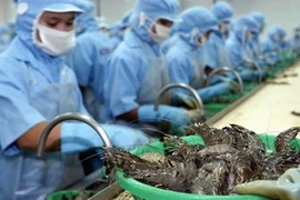 Exportaciones de camarones de Vietnam a Australia registraron fuerte aumento en 2019