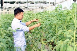 Provincia vietnamita de Bac Lieu promueve el comercio de productos agrícolas