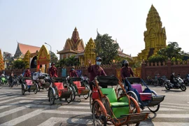 Demanda de electricidad de Camboya baja un 20 por ciento este año