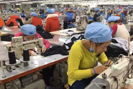 Ofrece Vietnam asistencia a exportadores en medio de COVID-19