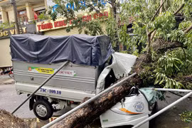 Vietnam reporta al menos cinco muertos por el tifón Noul