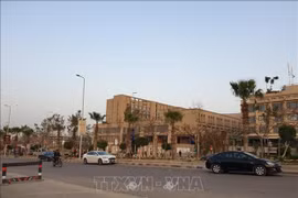Vietnamitas en Egipto permanecen unidos frente a la pandemia 