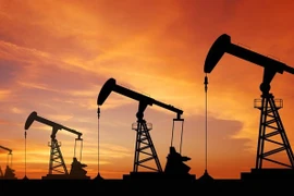 Indonesia busca impulsar exportaciones a Organización para la Cooperación Islámica