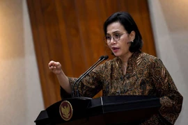 Ministra indonesia evalúa esfuerzos de Vietnam por mantener un crecimiento positivo