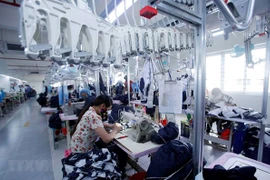 América del Sur, mercado potencial aún no explorado de exportaciones vietnamitas 