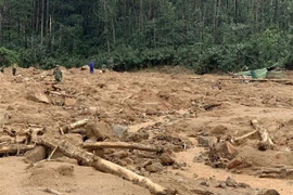 Detectan más cuerpos en área de deslizamientos de tierra en provincia vietnamita de Thua Thien-Hue