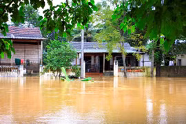Agencia de la ONU recauda fondos para vietnamitas afectados por inundaciones