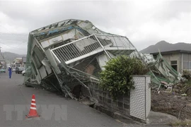 Trabaja Vietnam para proteger sus ciudadanos en Japón ante impactos de tifón Haishen