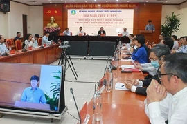Vietnam aplica medidas para promover producción agrícola 