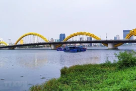 Aprecia Da Nang cooperación efectiva con Estados Unidos