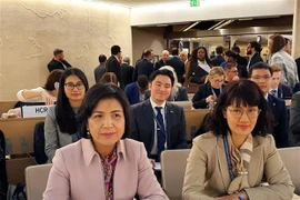 Asiste Vietnam a reunión del Consejo Ejecutivo del GICHD