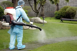 Vietnam registra otros nueve casos positivos con el coronavirus 