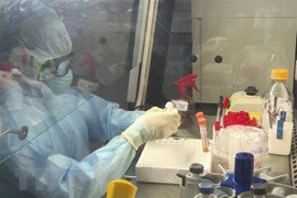 Con dos casos nuevos, Vietnam suma 260 personas infectadas por coronavirus