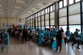 Regresan a casa más de 600 vietnamitas varados en Singapur y Malasia 