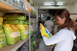 Promueven el cultivo del arroz ST25 en Vietnam