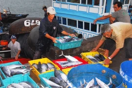 Aumenta producción acuícola de Vietnam en primera mitad de 2020 