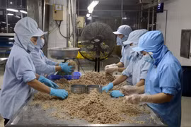 Explica prensa internacional éxito económico de Vietnam pese a COVID-19 