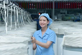 Vietnam aumenta supervisión para implementar acuerdos de libre comercio