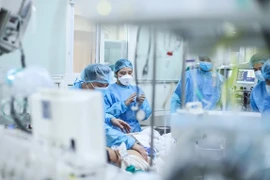 Efectúan exposición fotográfica en línea sobre lucha antiepidémica en Vietnam