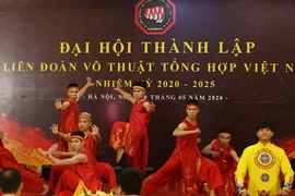 Celebran Congreso de la Federación de Artes Marciales Mixtas de Vietnam