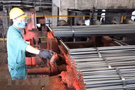 Inician proceso legal con 14 acusados por infracciones en proyecto de planta siderúrgica en Vietnam