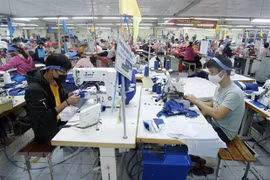 Vietnam por apoyar a empresas ante impacto negativo de COVID-19
