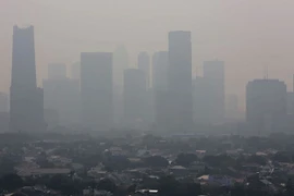 Registra Indonesia cientos de miles de muertos por contaminación