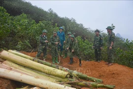 Destruyen en Vietnam bomba lanzada por Estados Unidos durante la guerra 