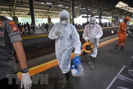 Elecciones regionales en Indonesia se celebrarán según lo previsto a pesar de epidemia