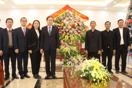 Felicitan a la diócesis vietnamita de Phat Diem en ocasión de la Navidad