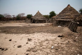Vietnam e Indonesia llaman a resolver disputas en Abyei por medios pacíficos