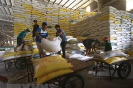 África sigue siendo un mercado potencial para Vietnam en medio del COVID-19