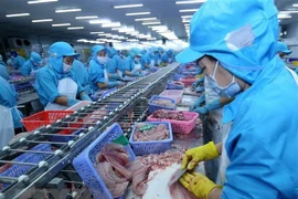 Disminuyen exportaciones pesqueras de Vietnam en primer tercio del año