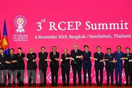 Proceso de negociación de RCEP entra en etapa final