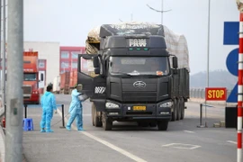 Reanudación de despacho aduanero en puertas fronterizas en Vietnam facilita comercio 