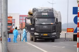 Reanudación de despacho aduanero en puertas fronterizas en Vietnam facilita comercio 