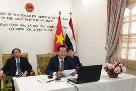 Realizan en Egipto seminario en línea sobre el Presidente Ho Chi Minh