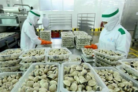 Exportaciones de Vietnam aumentan 4,2 por ciento