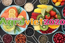 Feria internacional de productos agrícolas de Vietnam se celebrará en diciembre