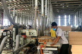 Efectúan en Vietnam reunión en línea sobre plan de acción para implementar el EVFTA