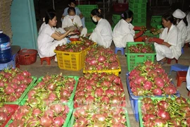 Malasia: Mercado potencial para las exportaciones de Vietnam en etapa postCOVID-19