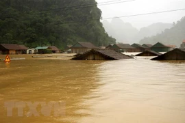 Cruz Roja de Vietnam brinda asistencia urgente a afectados por inundaciones 