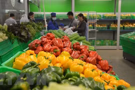 Aumentan exportaciones de verduras y frutas de Vietnam a Estados Unidos