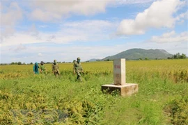 Vietnam aplica sanciones estrictas contra vehículos en zonas fronterizas