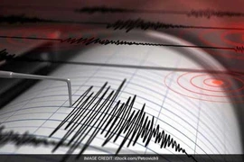 Fuerte sismo sacude Indonesia