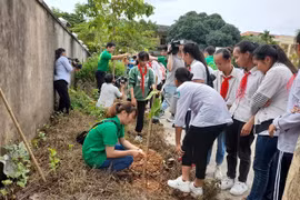 Campaña para reverdecer Hanoi con cuatro mil árboles