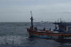 Rescatan a tres pescadores de la provincia vietnamita de Binh Dinh a la deriva en el mar