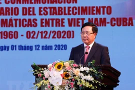 Nexos amistosos Vietnam-Cuba: historia gloriosa y mirada de esperanza hacia el futuro