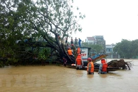 Rescatan cinco personas en estado grave de hidrocentral bloqueada por inundaciones