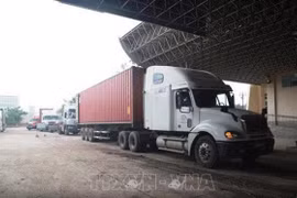 Nueva puerta fronteriza para promover el comercio entre Vietnam y Camboya